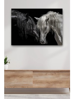 Şehzat Kanvas Siyah Beyaz At Dekoratif Duvar Tablosu