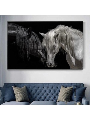 Şehzat Siyah Modern Çift At Kanvas Tablo