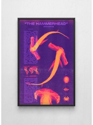 Lamazif The Hammerhead Köpekbalığı Çerçeveli Poster | Modern Deniz Temalı Duvar Tablosu 50X70 cm