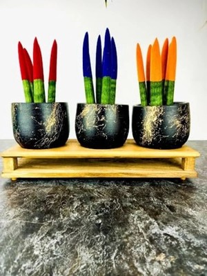 Calperia Siyah Gold Mermer Efektli Üçlü Ahşap Tabanlı Saksı Seti