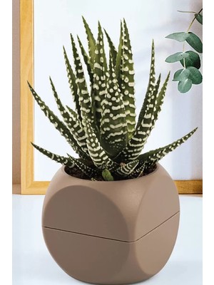 General 2 No Küp Saksı ROYALEKS-KRS-402