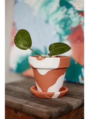 Calperia El Yapımı Terracotta Konik Saksı + Tabak - Bohem Beyaz (Küçük)