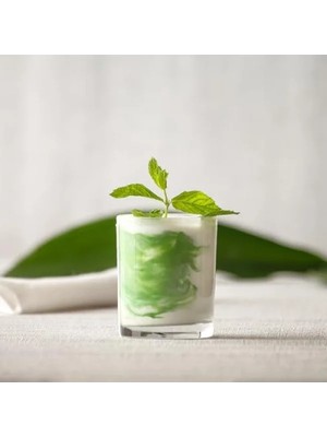 Calperia 6'lı Viski Bardağı Seti - 305 cc