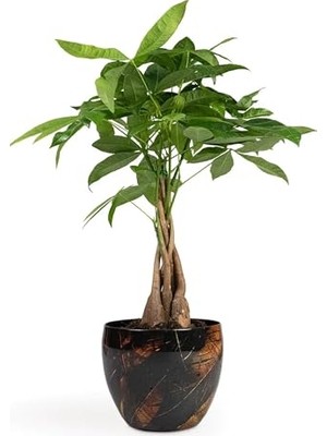 Vive El Yapımı Metal L Saksı 21X16 cm