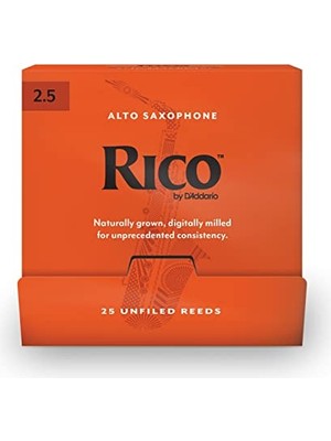 Alto Saksafon Kamış (RJA0125-B25)