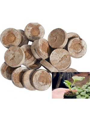 Şişen Tablet (10 Adet)