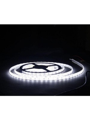 4040 Beyaz Şerit LED Iç Mekan – 1 Metre