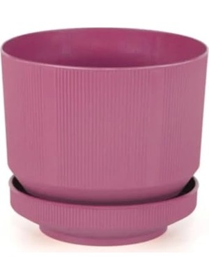 Plastik Tabaklı Saksı 1 Adet (Fuşya) 6 Lt