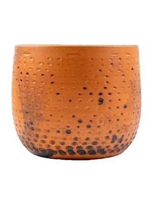 Bitki Tasarımı Ev Dekorasyon Aksesuar Siyah Nokta Desenli Toprak Saksı Saksılık Salon Çiçeklik - 19 cm