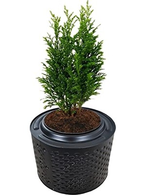 Metal Saksı Büyük Bitki Ağaç Saksısı Fırınlanmış Statik Boyalı Boy 33-38 Santim Çap 45-55 Santim