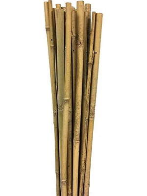 163702 Bambu Destek Çubuğu 10'lu - 6-8 mm x 60 cm