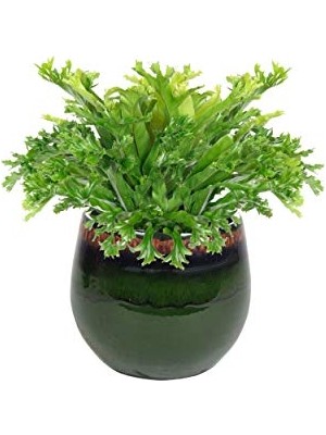 Ts Indoor Charlotte Çiçek Saksısı Ç 19 cm Yeşil