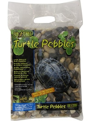 Kaplumbağa Çakıl Taşları, Büyük