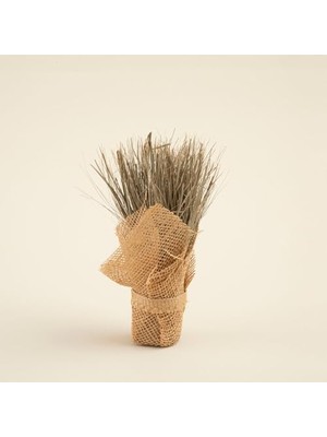 Tuba Toptaş Alexa Jütte Kuru Çiçek Natural