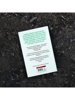 Bey The Girl In The Eagle's Talons: The New Girl With The Dragon Tattoo Thriller