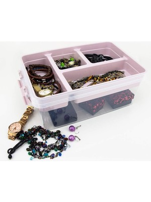 Berry Store 50843 Çok Amaçlı Düzenleyici Kutu, Çok Renkli