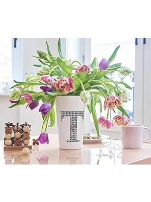 Berry Store 4200 Fırça Uçlu Porselen Kalemi - Siyah - 1 Kalem - Fırça Ucu 1-4 mm