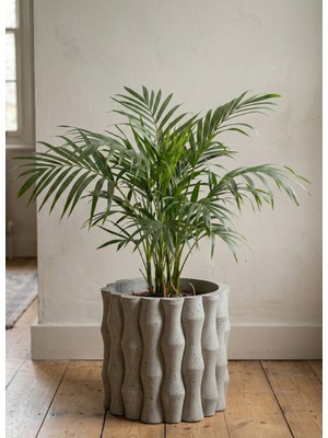 Store Bambu Beton Saksı 5l - Dekoratif Modern Büyük Saksı – Iç Mekan Salon Ofis Bitki Saksısı Yuka Areka Kaktüs