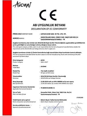 NY Home AP-60193-1BSY Siyah Boyalı Aplik E27 Metal Cam 14X19CM