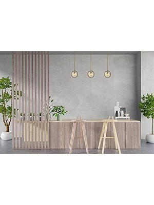 NY Home AV-60291-1E Eskitme Kaplama Modern Avize E14 Metal Cam 22CM