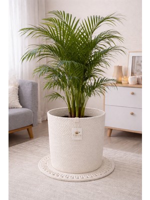 Efuliz Home Jüt-Hasır Çok Amaçlı-Dekoratif-Organizer Saksı Sepeti, Bahçe Düzenleyici Sepet. (En:30-Boy:30 Cm)