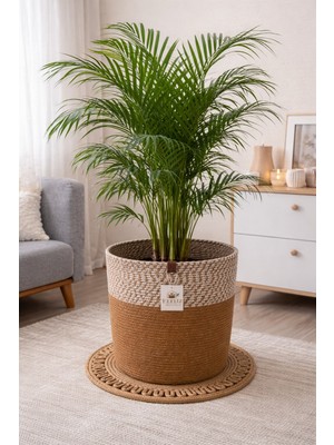 Efuliz Home Jüt-Hasır Çok Amaçlı-Dekoratif-Organizer Saksı Sepeti, Bahçe Düzenleyici Sepet. (En:20-Boy:15 Cm)