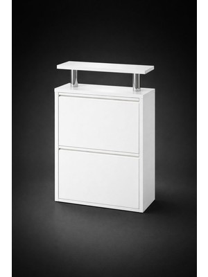 Moemi 2'li Metal Ayakkabılık Kapaklı Raflı /beyaz Ayakkabılık (Tablalı)/ofis/ Dar Alan/antrasit Tablalı