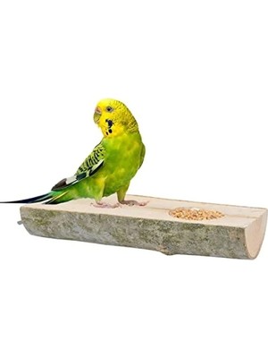 Calperia Doğal Ağaç Kuş Tüneği ve Yemlik Kütük Tasarımı