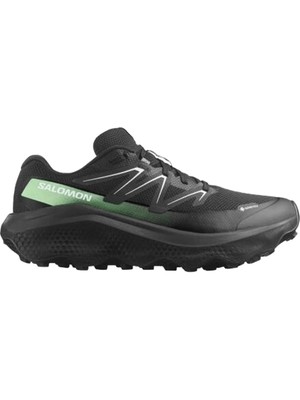 Salomon Ultra Flow 2 Gore-Tex