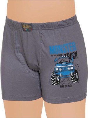 Gümüş 12'li Erkek Çocuk Boxer Karışık Renk DESEN-3110