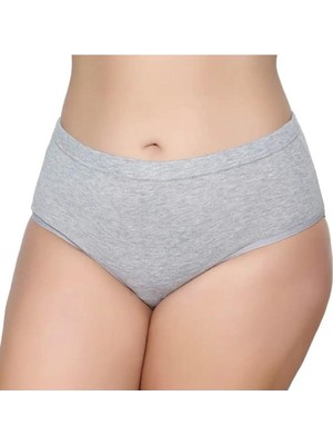 12'li Kadın Bato Külot Geçme Lastik-Gümüş 3040-3041