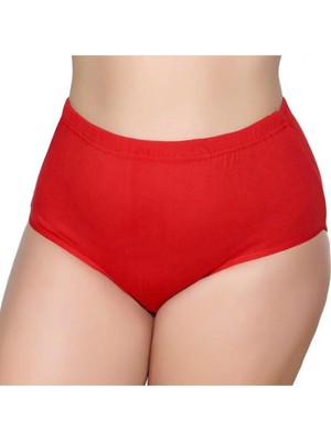 6'lı Kadın Bato Külot Geçme Lastik-Gümüş 3040-3041