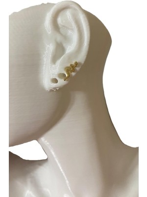 Gülnar Bijuteri Taşlı Yılan Tasarım Kıkırdak Tragus Helix Pearsing Küpe
