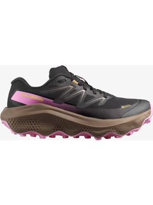 Salomon Ultra Flow 2 Gtx