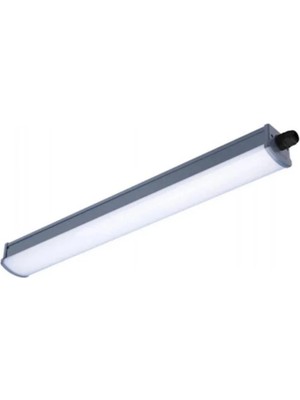 Philips WT066C 18W 6500K IP65 60 cm LED Etanj