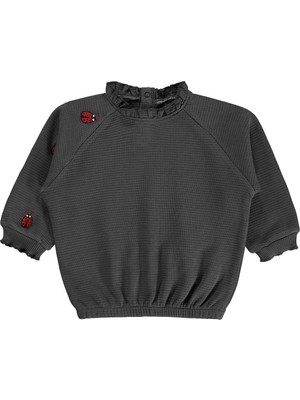 Civil Baby Uğur Böceği Nakışlı 6-18 Ay Sweatshirt - Gri
