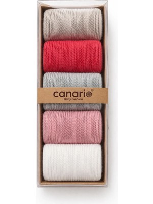 Dinamik çocuk 5'li Kutulu Yenidoğan 0-6AY Bebek Çorap Seti %100PAMUK Yumuşak Rahat Premium Sof Renk Hediyelik