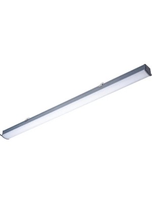 Philips WT066C 36W 4000K IP65 120 cm LED Etanj