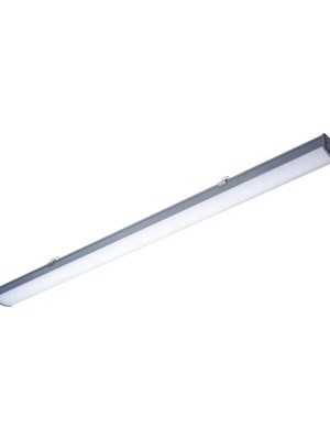 Philips WT066C 36W 6500K IP65 120 cm LED Etanj