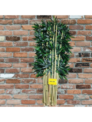 Mutbirlik Yapay Bambu 100 cm (5 Adet) Islak Doku Dekor Çubuğu