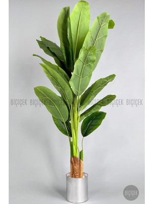 Biçiçek Yapay Muz Ağacı 185 cm Saksısız Model