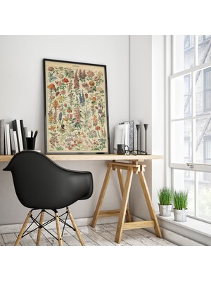 Pegziz Çiçek Çeşitleri Vintage Çerçeveli Tablo