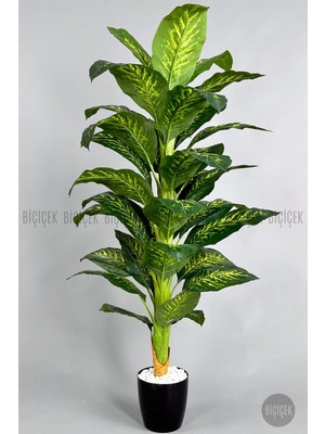 Biçiçek Yapay Difenbahya Ağacı 165 cm Saksısız