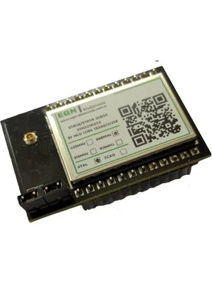 EGN Elektronik STR08CSH8 868MHZ Rf Mcu+Lora Transceiver Modülü (STM32WLE5X,+20DBM Rf,saw Filtre,u.fl Rf Konnektör)