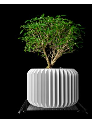 Zenfaden Prime Saksı