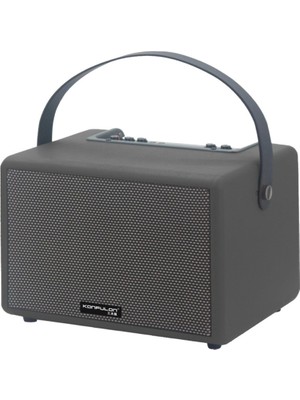 AyrStore Buğz F31 50W Sürücülü 2 Adet Mikrofonlu Bt 5.2 Kablosuz Hoparlör - Siyah