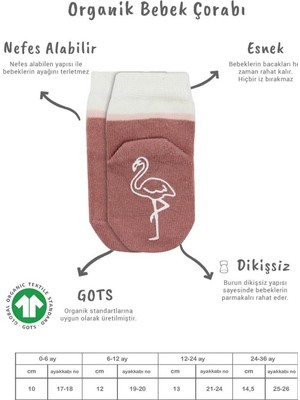 NW NessiWorld 2'li Hayvan Figür Kaymaz Kız Soket Çorap 10120 Pudra