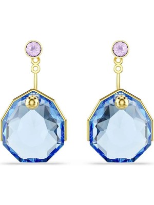 Swarovski SWR5737449 Kadın Küpe