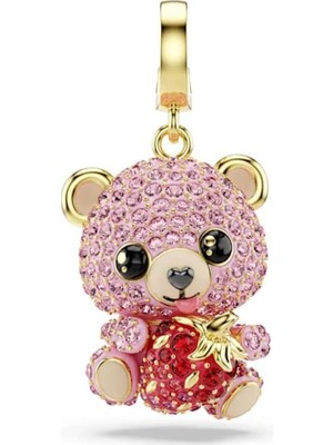Swarovski SWR5738357 Kadın Charm Bileklik Ucu