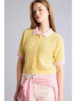 DeFacto Sarı polo yaka detayına sahip triko yelek H6178AX26SM